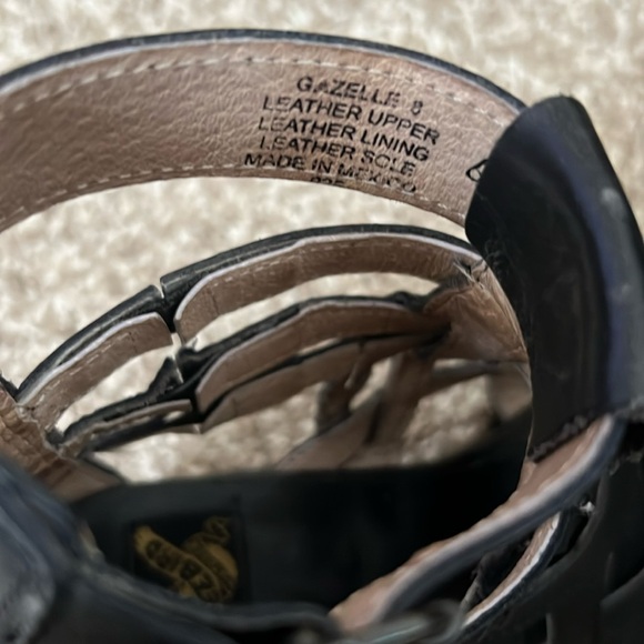 Freebird Gazelle 8 - Picture 8 of 11